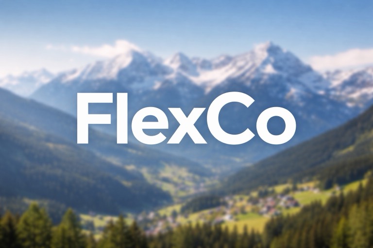 Buchhaltung für die FlexCo in Österreich